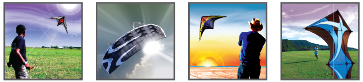 desc-header(sport-kites)-01.png